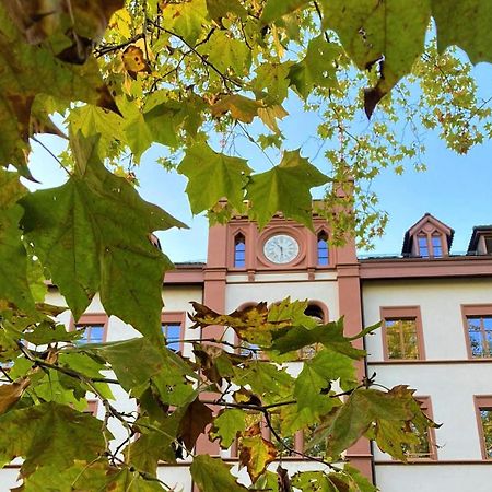 Odelya - Stadthotel Im Park Базел Екстериор снимка