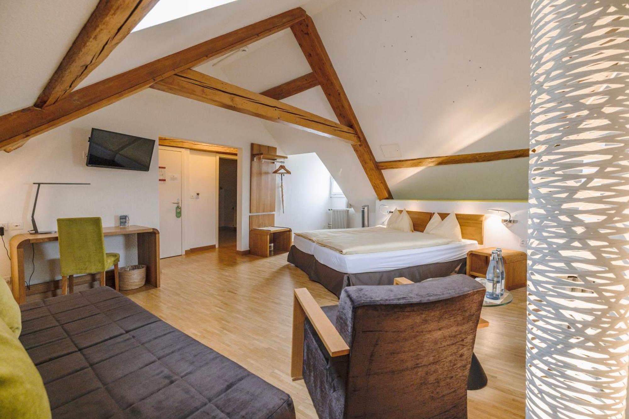 Odelya - Stadthotel Im Park Базел Екстериор снимка