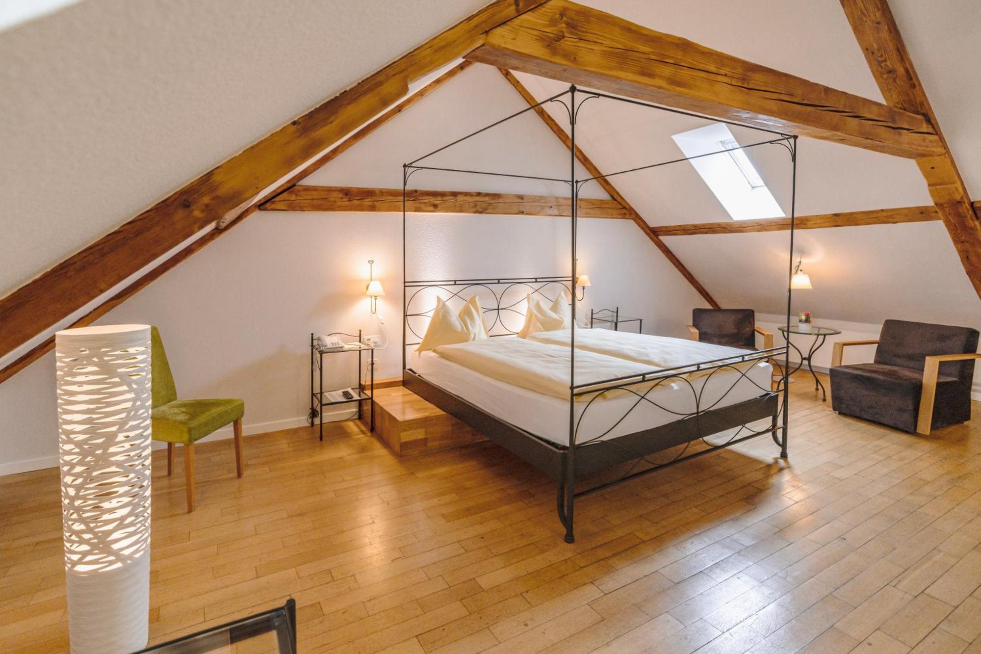 Odelya - Stadthotel Im Park Базел Екстериор снимка