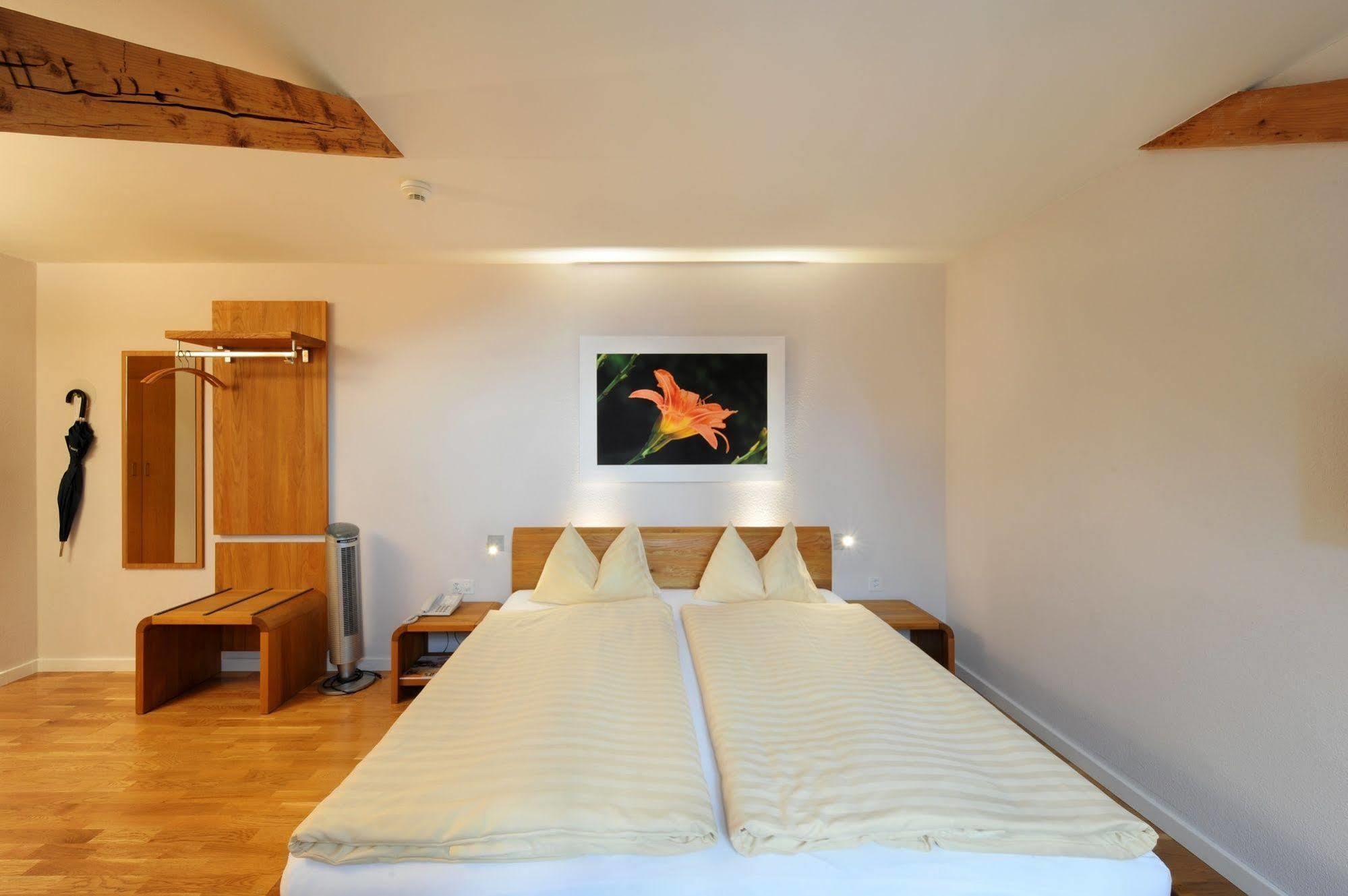 Odelya - Stadthotel Im Park Базел Екстериор снимка