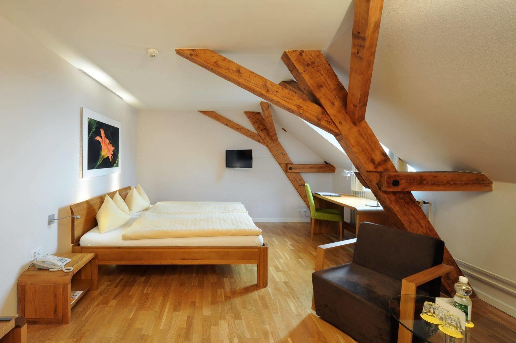 Odelya - Stadthotel Im Park Базел Екстериор снимка